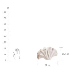 Deko-Objekt Blatt Höhe 21cm GINKGO In Creme -Heimdekoration Geschäft butlers deko objekt blatt hohe 21cm ginkgo in creme 3